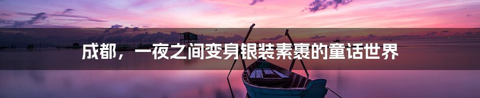 成都,一夜之间变身银装素裹的童话世界