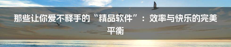 那些让你爱不释手的“精品软件”:效率与快乐的完美平衡