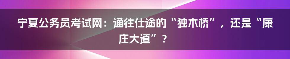 宁夏公务员考试网:通往仕途的“独木桥”,还是“康庄大道”?