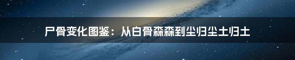 尸骨变化图鉴:从白骨森森到尘归尘土归土