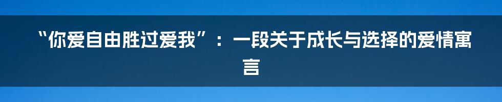 “你爱自由胜过爱我”：一段关于成长与选择的爱情寓言