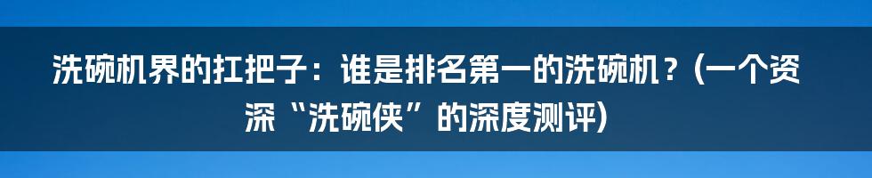 洗碗机界的扛把子:谁是排名第一的洗碗机?(一个资深“洗碗侠”的深度测评)