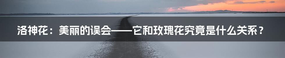 洛神花:美丽的误会——它和玫瑰花究竟是什么关系?