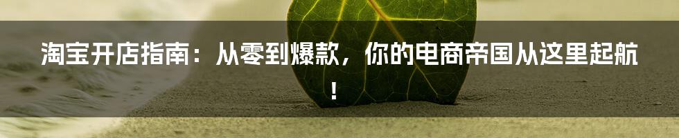 淘宝开店指南:从零到爆款,你的电商帝国从这里起航!