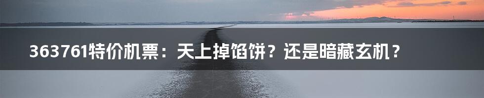 363761特价机票:天上掉馅饼?还是暗藏玄机?