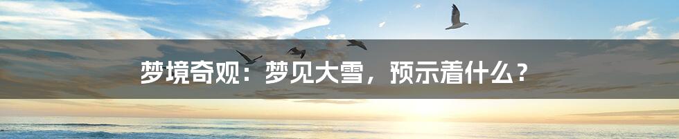 梦境奇观:梦见大雪,预示着什么?