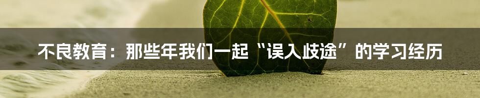 不良教育：那些年我们一起“误入歧途”的学习经历