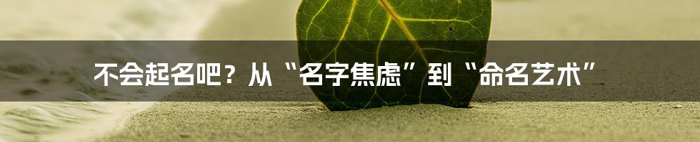 不会起名吧?从“名字焦虑”到“命名艺术”