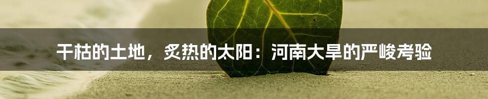 干枯的土地,炙热的太阳:河南大旱的严峻考验