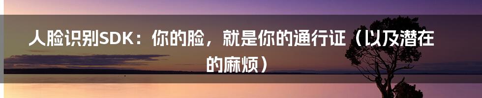 人脸识别SDK:你的脸,就是你的通行证(以及潜在的麻烦)