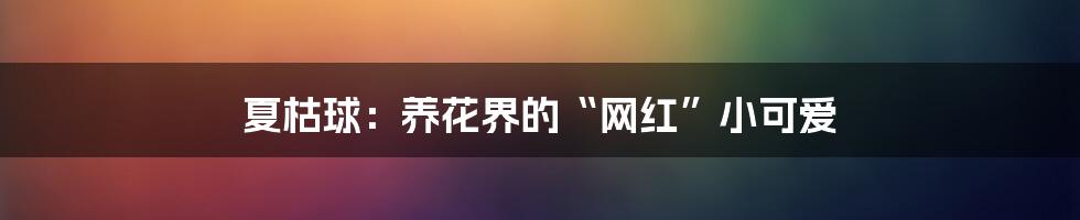 夏枯球：养花界的“网红”小可爱