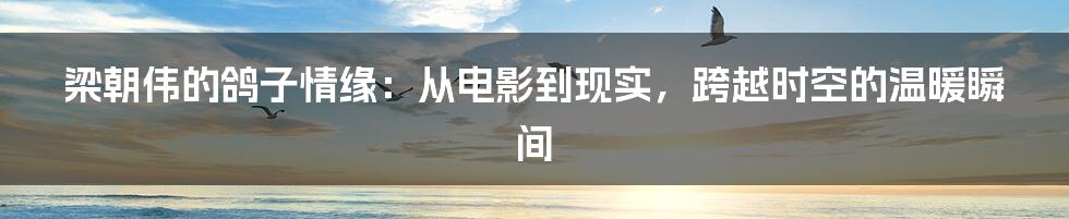 梁朝伟的鸽子情缘:从电影到现实,跨越时空的温暖瞬间