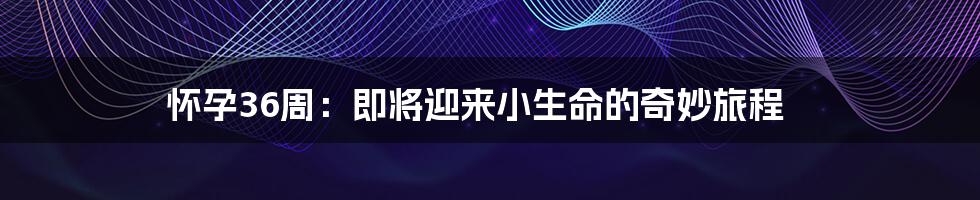 怀孕36周:即将迎来小生命的奇妙旅程