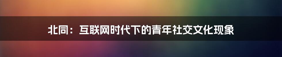 北同：互联网时代下的青年社交文化现象