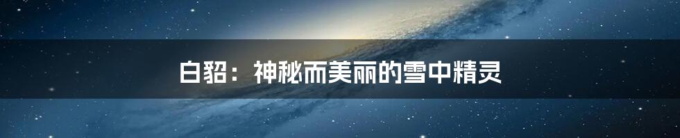 白貂:神秘而美丽的雪中精灵