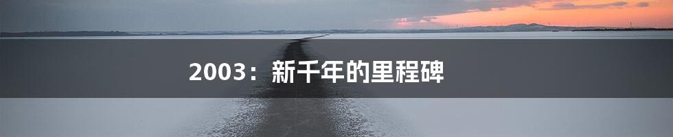 2003：新千年的里程碑