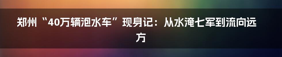 郑州“40万辆泡水车”现身记：从水淹七军到流向远方