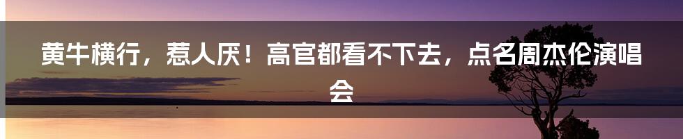 黄牛横行，惹人厌！高官都看不下去，点名周杰伦演唱会