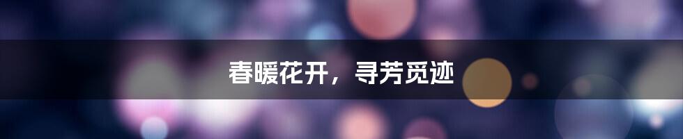 春暖花开,寻芳觅迹