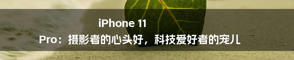 iPhone 11 Pro:摄影者的心头好,科技爱好者的宠儿