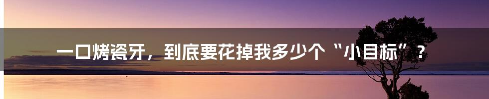 一口烤瓷牙，到底要花掉我多少个“小目标”？