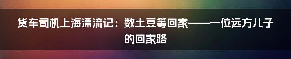 货车司机上海漂流记：数土豆等回家——一位远方儿子的回家路