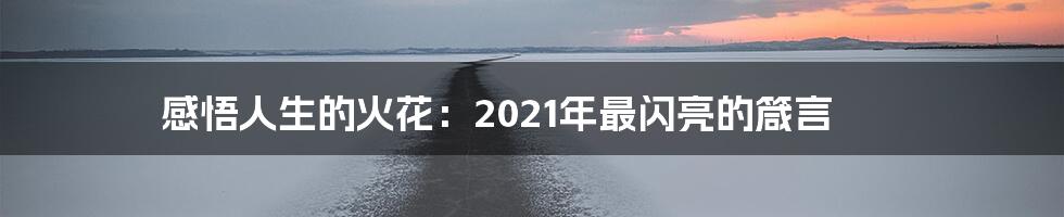 感悟人生的火花:2021年最闪亮的箴言