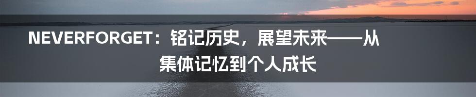 NEVERFORGET：铭记历史，展望未来——从集体记忆到个人成长