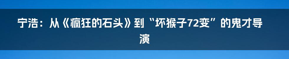 宁浩：从《疯狂的石头》到“坏猴子72变”的鬼才导演