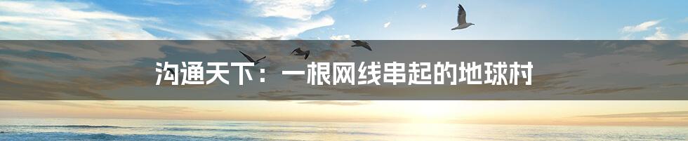 沟通天下:一根网线串起的地球村