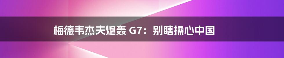 梅德韦杰夫炮轰 G7:别瞎操心中国