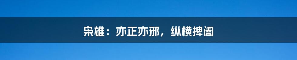 枭雄:亦正亦邪,纵横捭阖