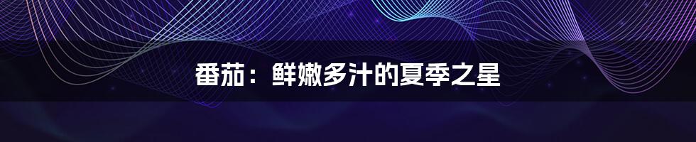 番茄:鲜嫩多汁的夏季之星