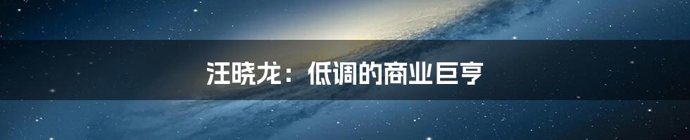 汪晓龙:低调的商业巨亨