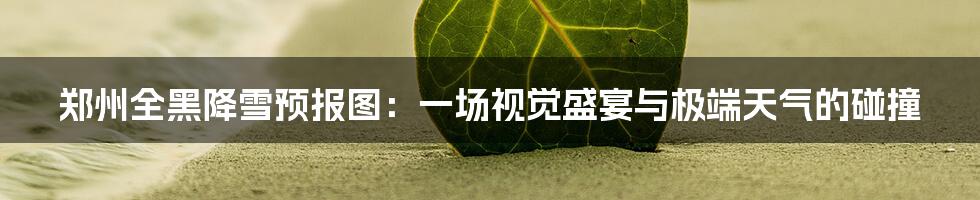 郑州全黑降雪预报图:一场视觉盛宴与极端天气的碰撞
