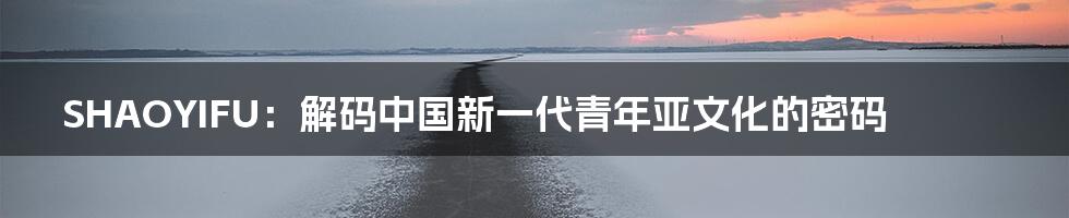 SHAOYIFU：解码中国新一代青年亚文化的密码