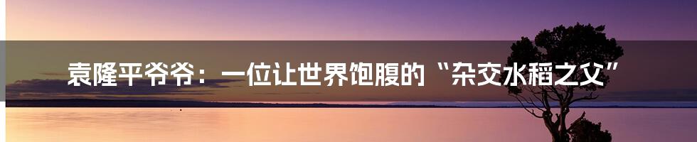袁隆平爷爷:一位让世界饱腹的“杂交水稻之父”