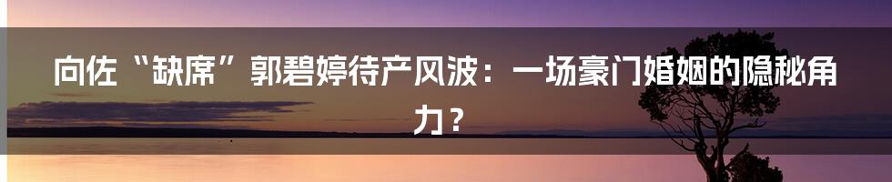 向佐“缺席”郭碧婷待产风波:一场豪门婚姻的隐秘角力?