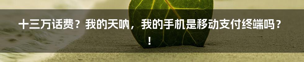 十三万话费?我的天呐,我的手机是移动支付终端吗?!