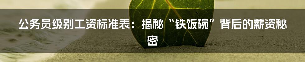 公务员级别工资标准表:揭秘“铁饭碗”背后的薪资秘密