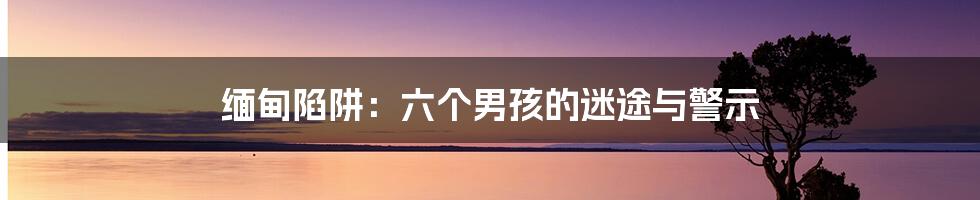 缅甸陷阱:六个男孩的迷途与警示