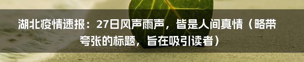 湖北疫情速报:27日风声雨声,皆是人间真情(略带夸张的标题,旨在吸引读者)