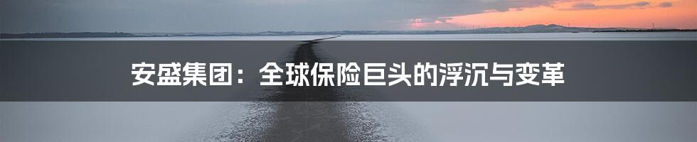 安盛集团：全球保险巨头的浮沉与变革