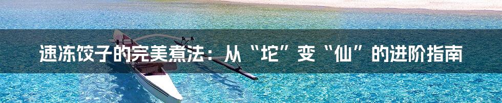 速冻饺子的完美煮法:从“坨”变“仙”的进阶指南