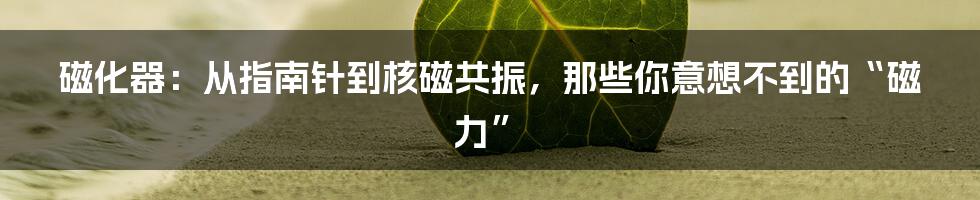 磁化器：从指南针到核磁共振，那些你意想不到的“磁力”
