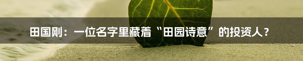 田国刚:一位名字里藏着“田园诗意”的投资人?