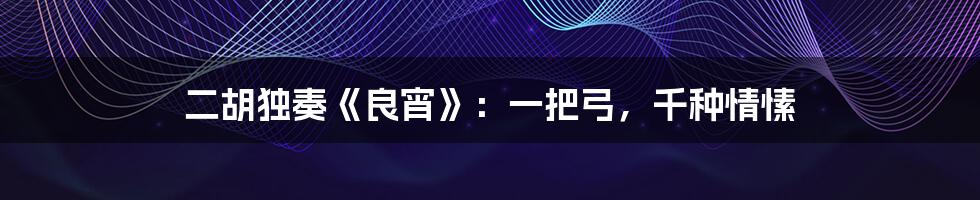 二胡独奏《良宵》:一把弓,千种情愫