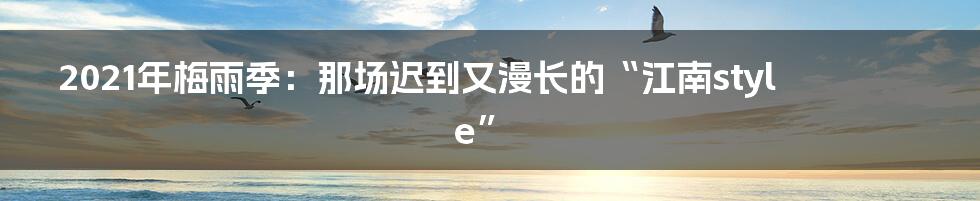 2021年梅雨季:那场迟到又漫长的“江南style”