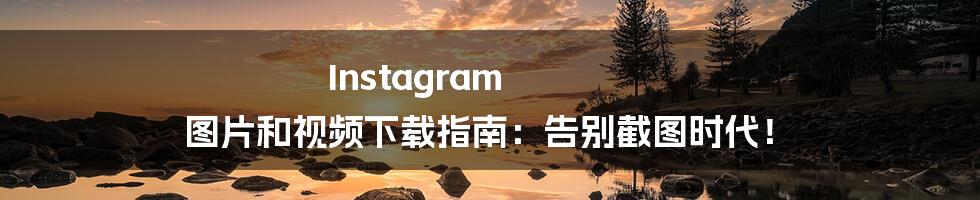 Instagram 图片和视频下载指南：告别截图时代！