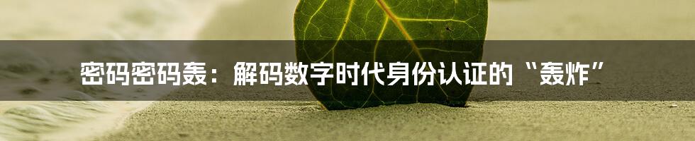 密码密码轰：解码数字时代身份认证的“轰炸”